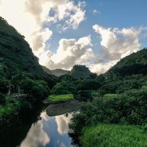 Waimea Valley