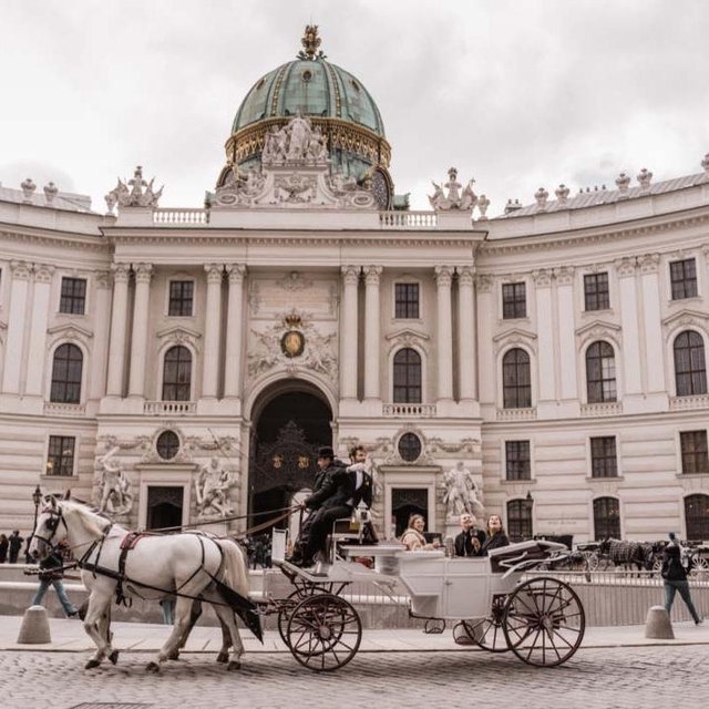 Horse Carriage Ride in Vienna