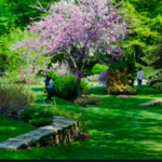Arnold Arboretum of Harvard University