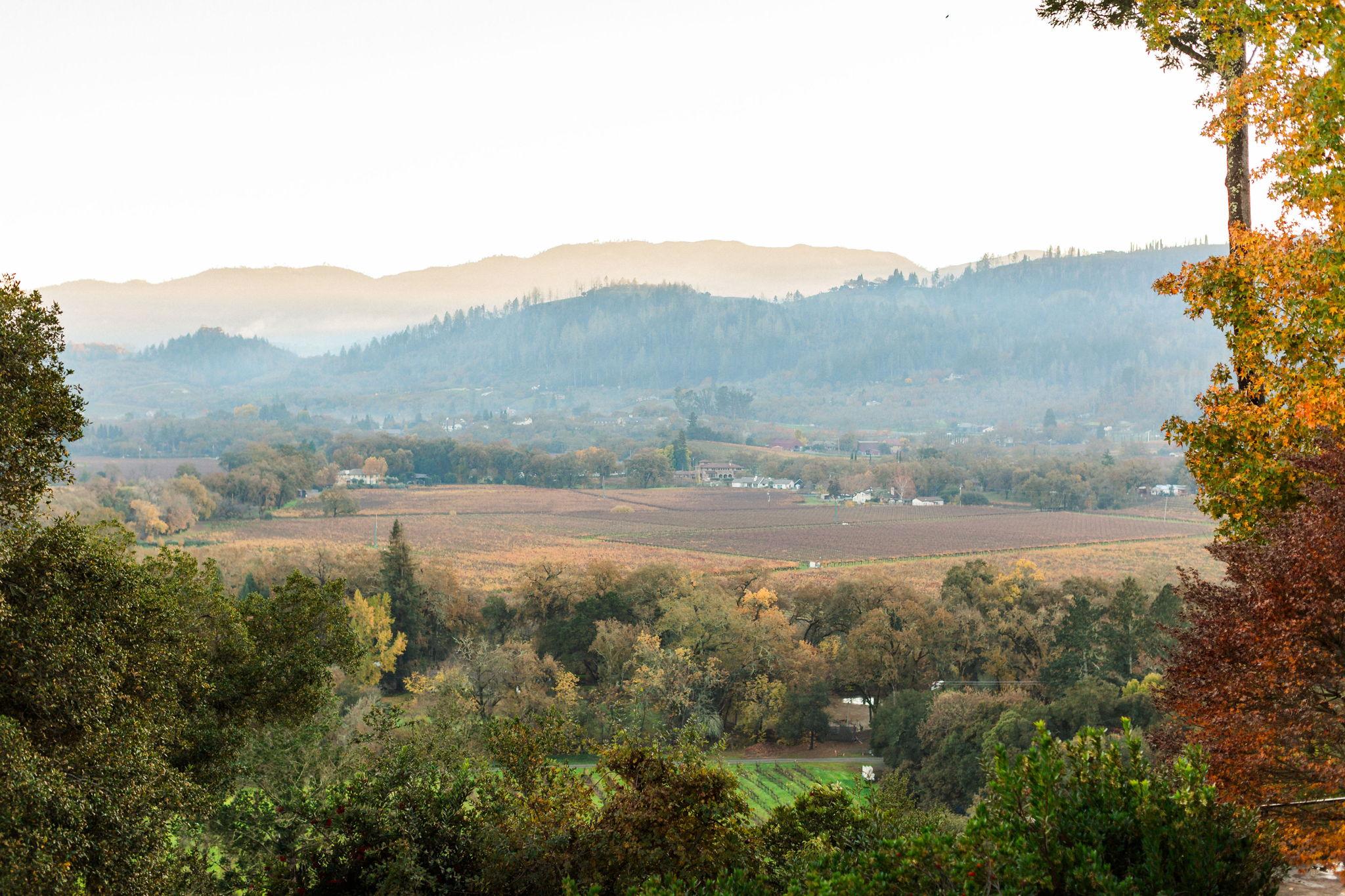 The Wedding Website of Ali Bo and Trevor Tedesco