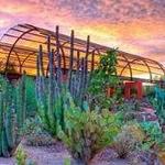 Desert Botanical Garden
