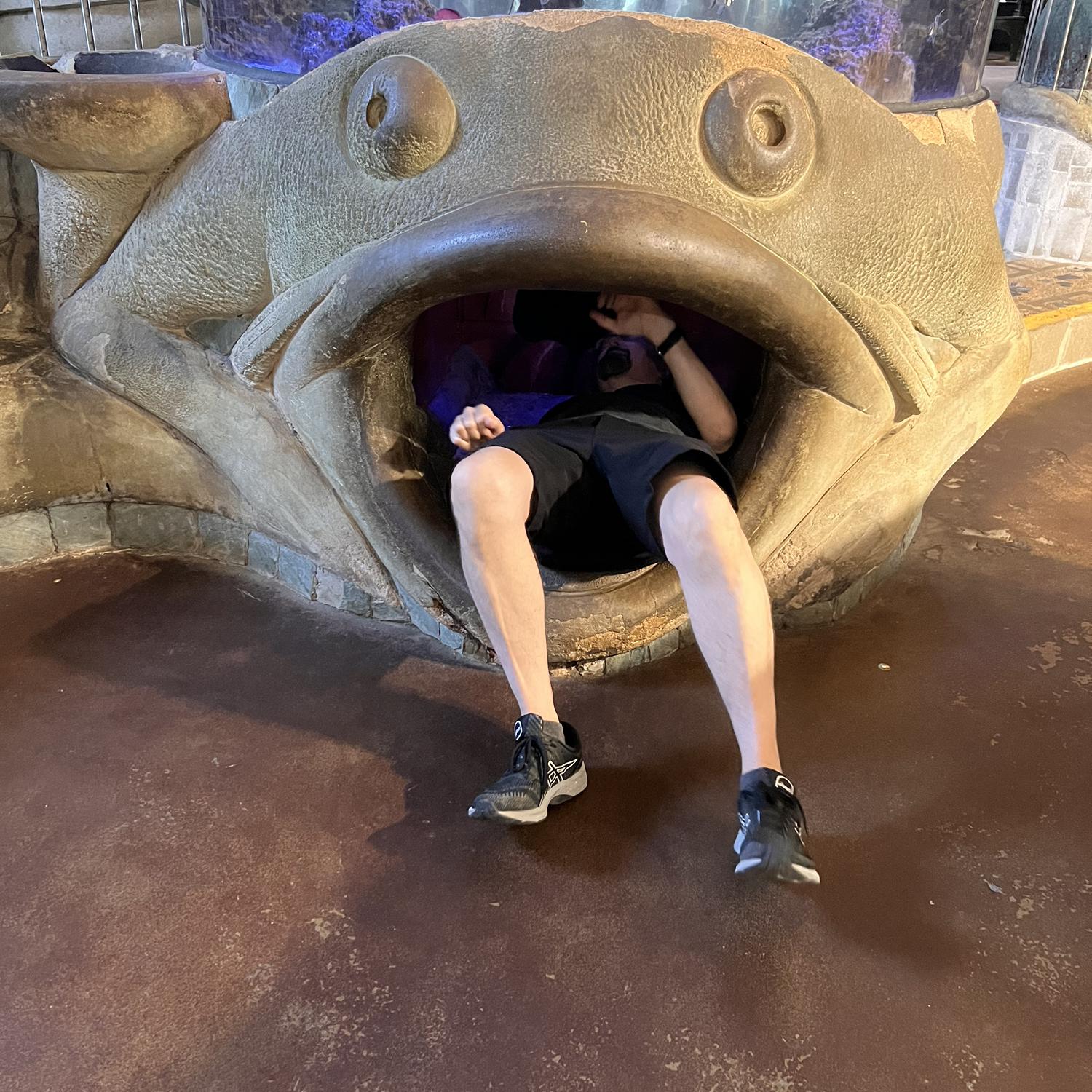 Jon crawling into an interactive aquarium