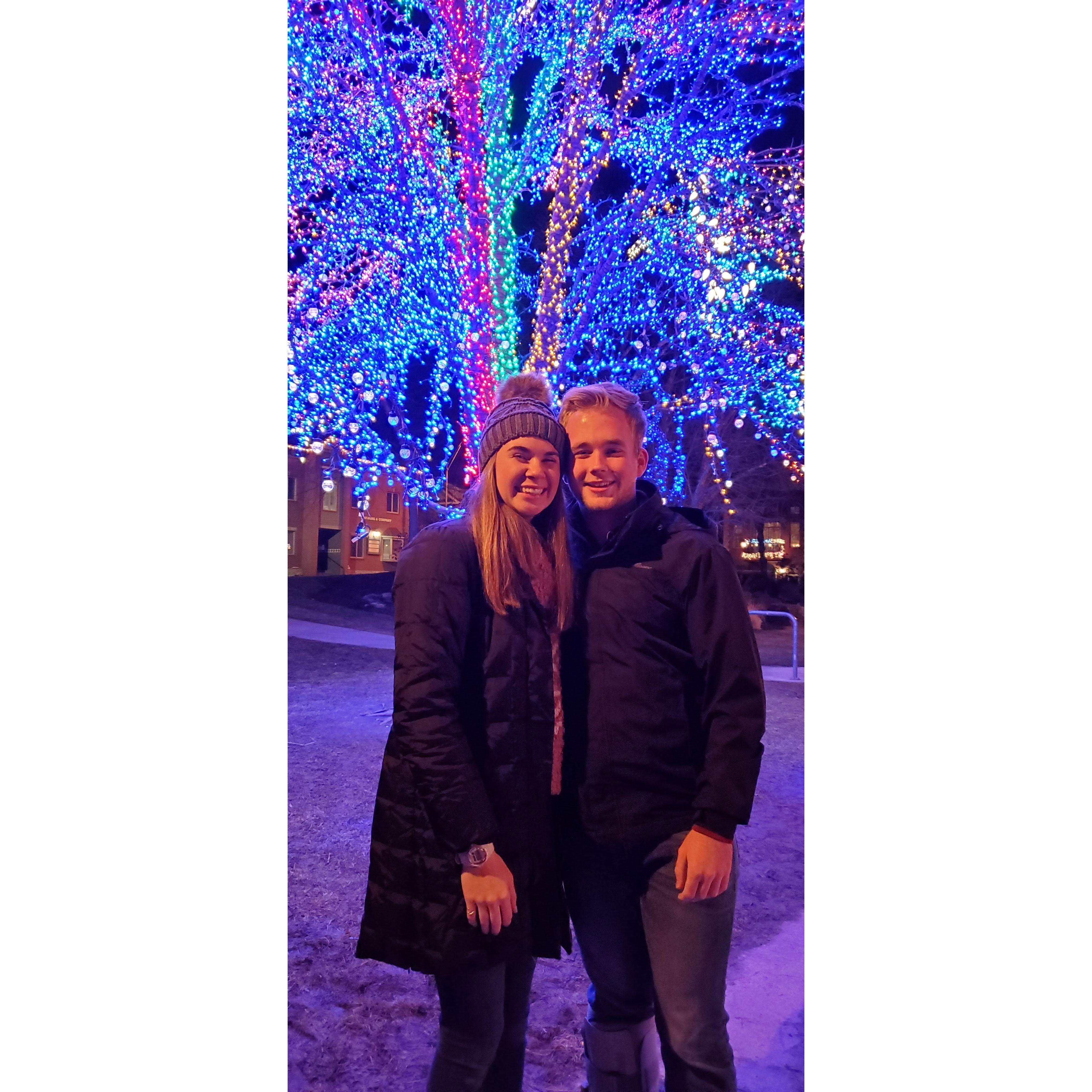 Year 1 of our annual tradition is visiting the Magic Tree!