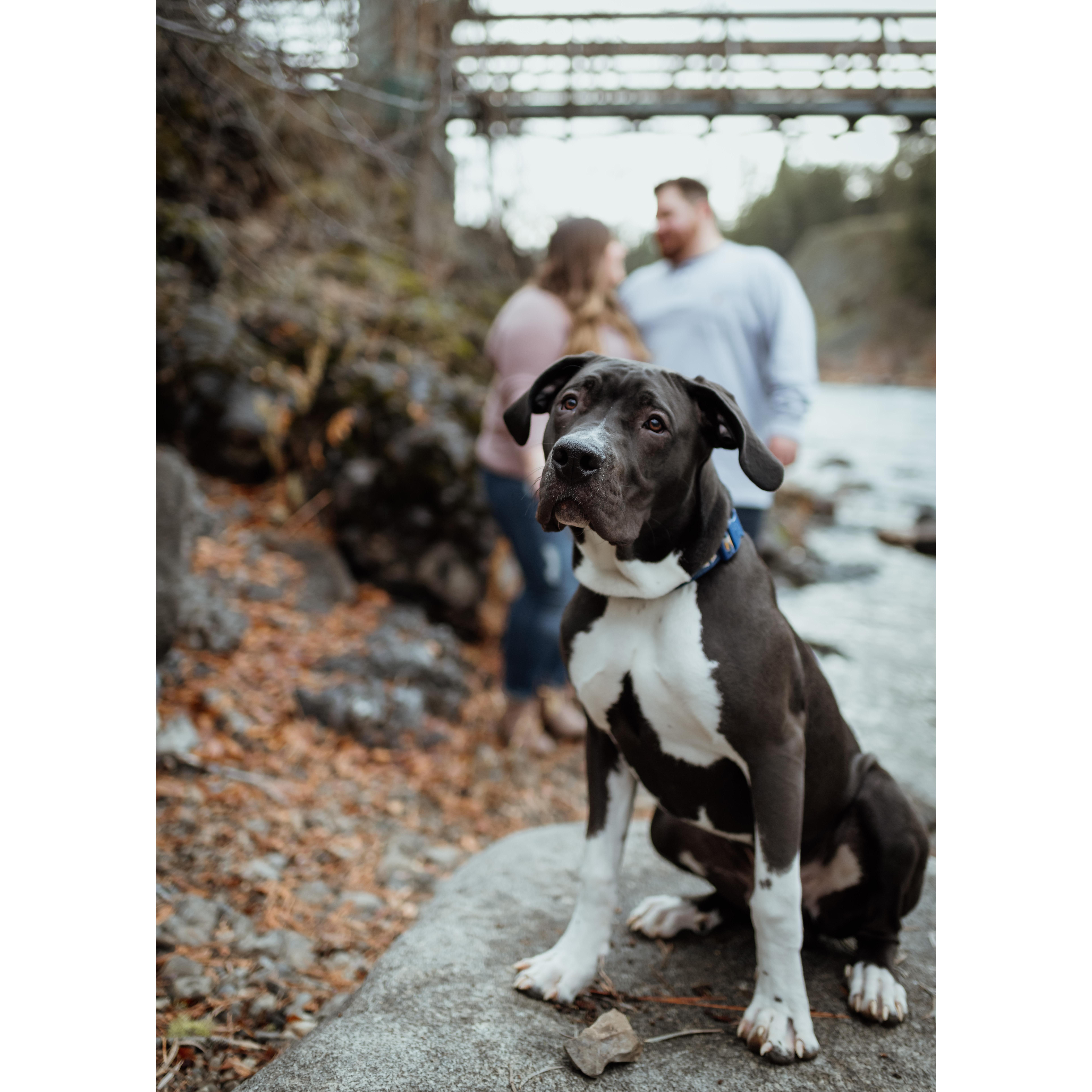 Our Engagement Session would not be complete without our fur-baby!