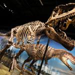 Denver Museum of Nature & Science