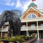 Virginia Zoo
