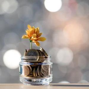 Cash Fund