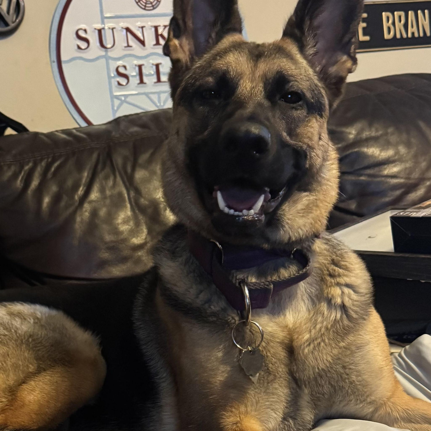 Our favorite girl