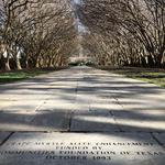 达拉斯植物园The Dallas Arboretum and Botanical Garden