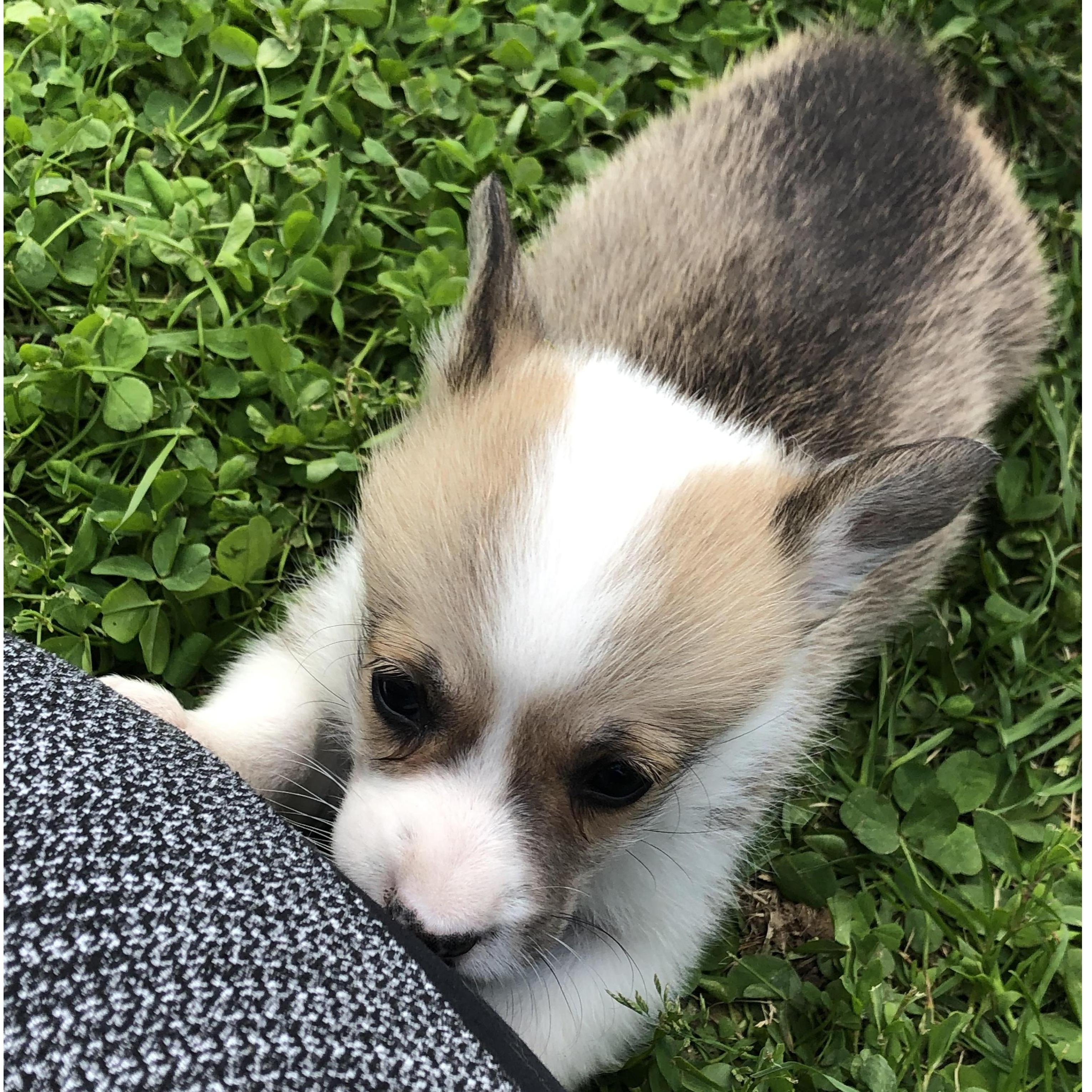 First Meeting Zona, April 2019