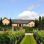 Wölffer Estate Vineyard