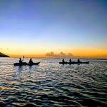 Bioluminescent Bay Kayak with Bush Tribe Eco Adventures