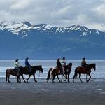 Alaska Horse Adventures