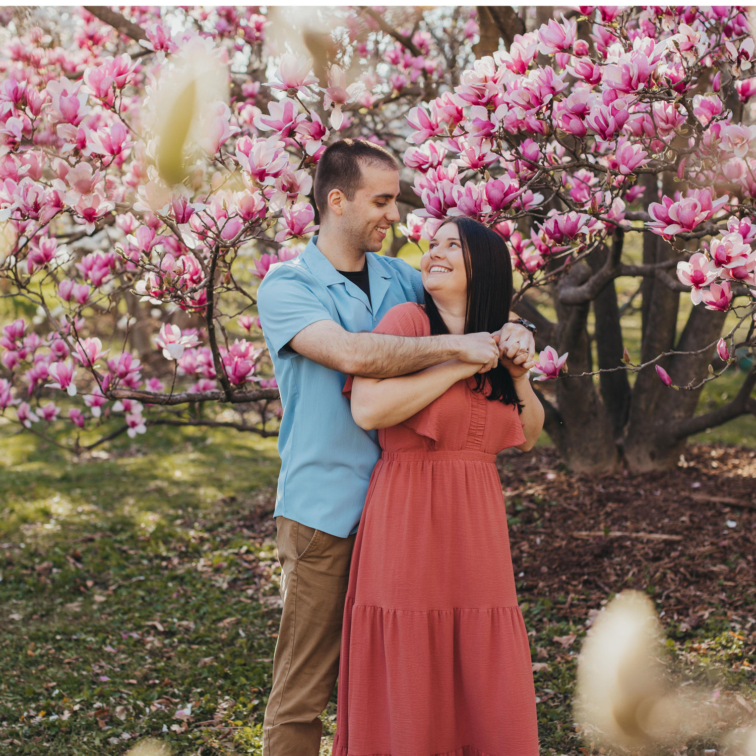 Highland Park magnolia trees. April 2025