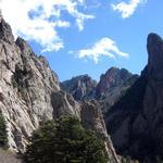 La Luz Trail