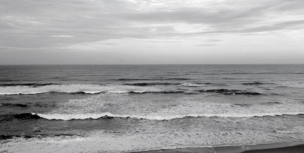 The Wedding Website of Amaris Hollis and Cameron Washington