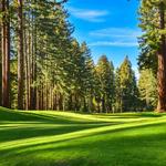 Golf Options