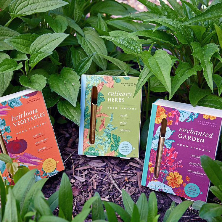 Modern Sprout, Seed Flavor Kit | Zola