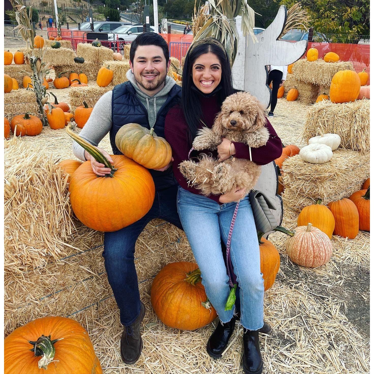 We love a family trip to the pumpkin patch!
