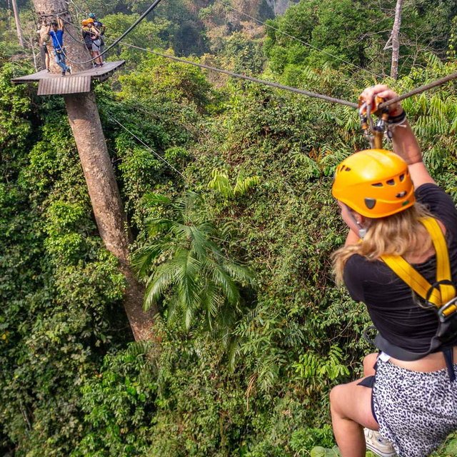 Ziplining in the Jungle