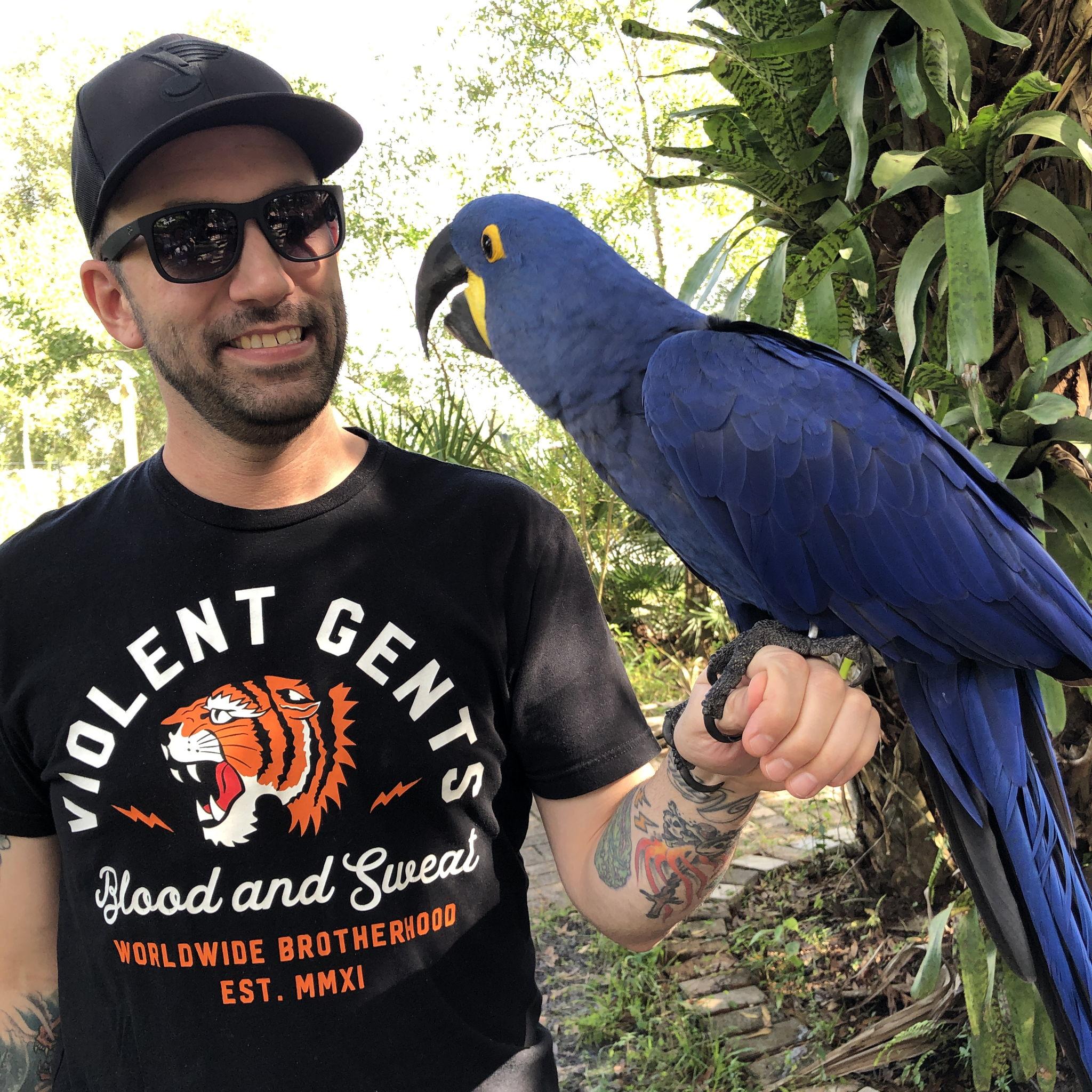 Birds and animals...