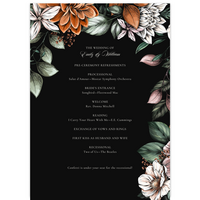 Program