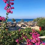 Mylos Beach Bar