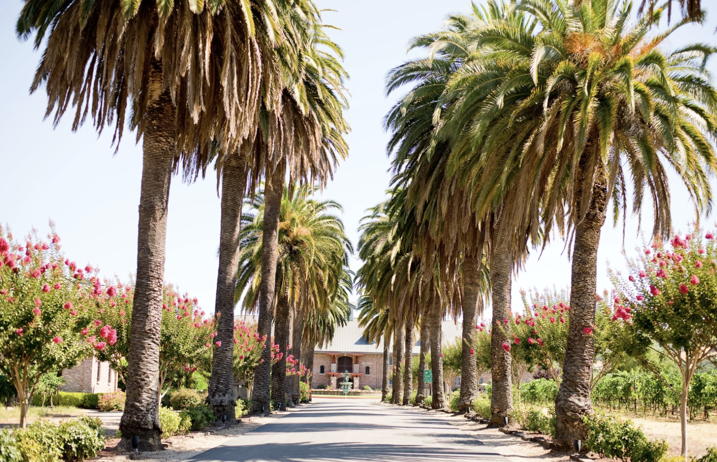 The Wedding Website of Ashley Thomas and Steven Villada