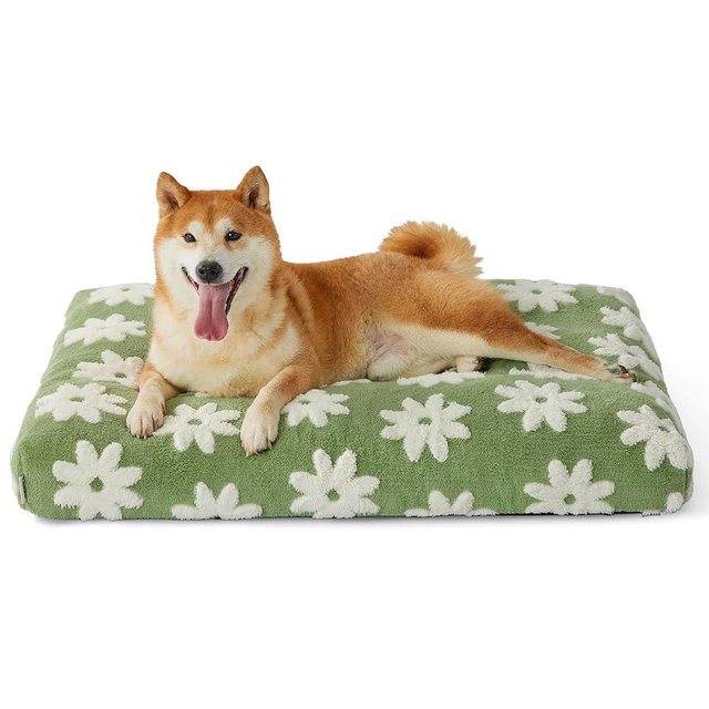 Lesure Dog Beds Large Sized-Thick Shredded Chopped Foam Pet Bed Indoor with Removable Cover, Cute Modern Fuzzy Plush & Anti Slip Bottom, Green