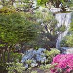 Missouri Botanical Garden