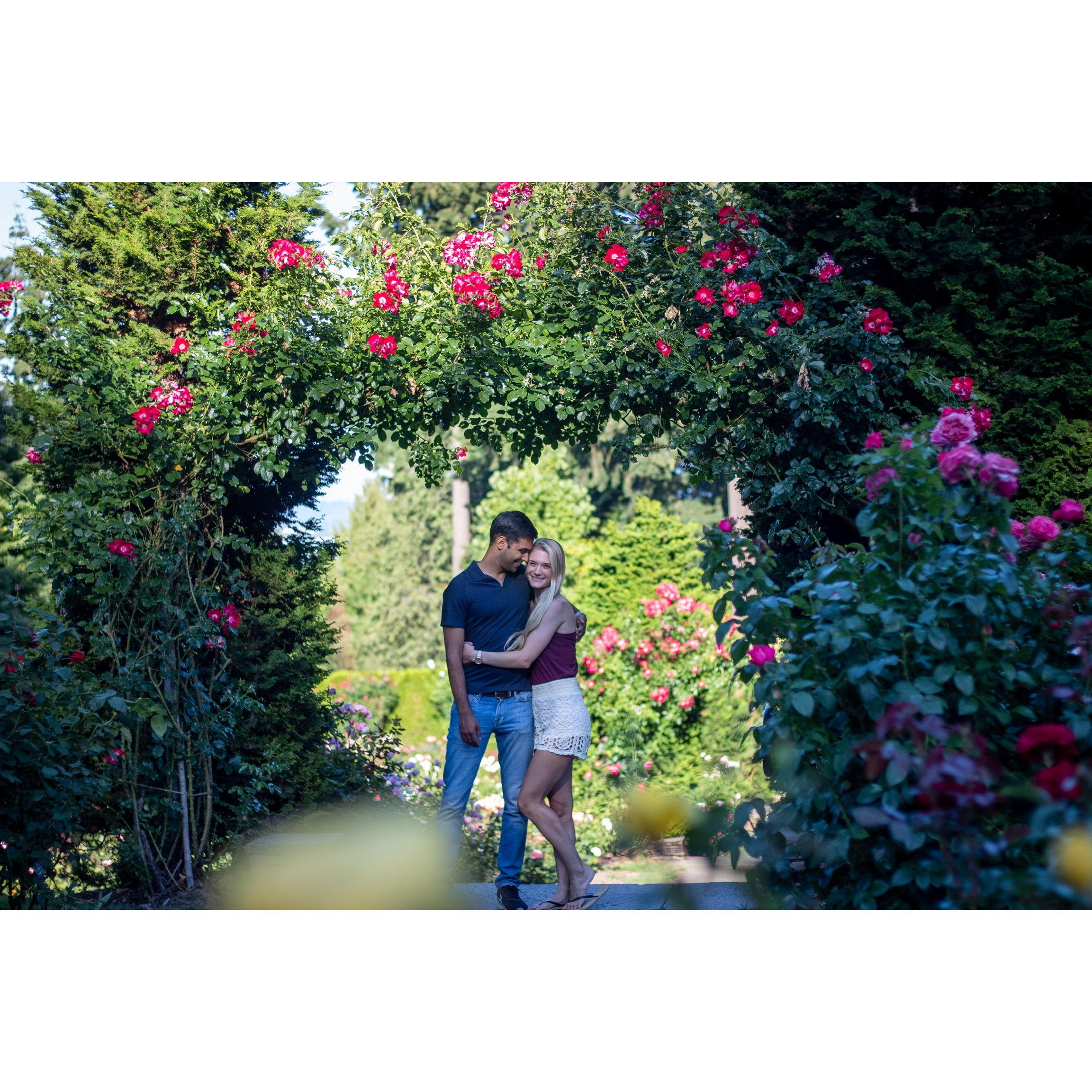 Portland Rose Garden
