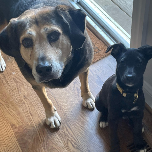 Treats for Jack & Winnie