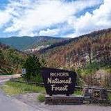 Bighorn National Forest