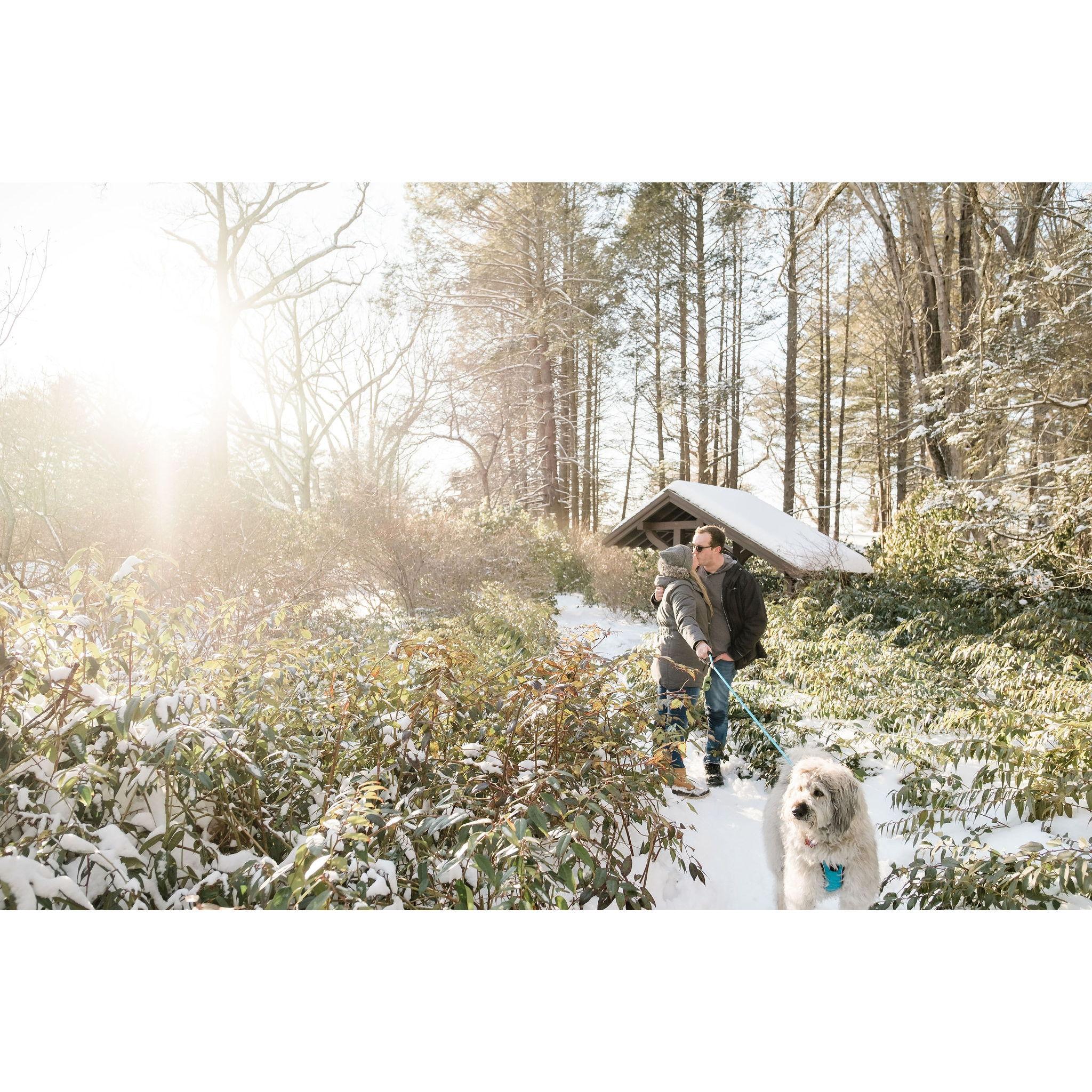engagement photos