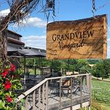 Grandview Vineyard