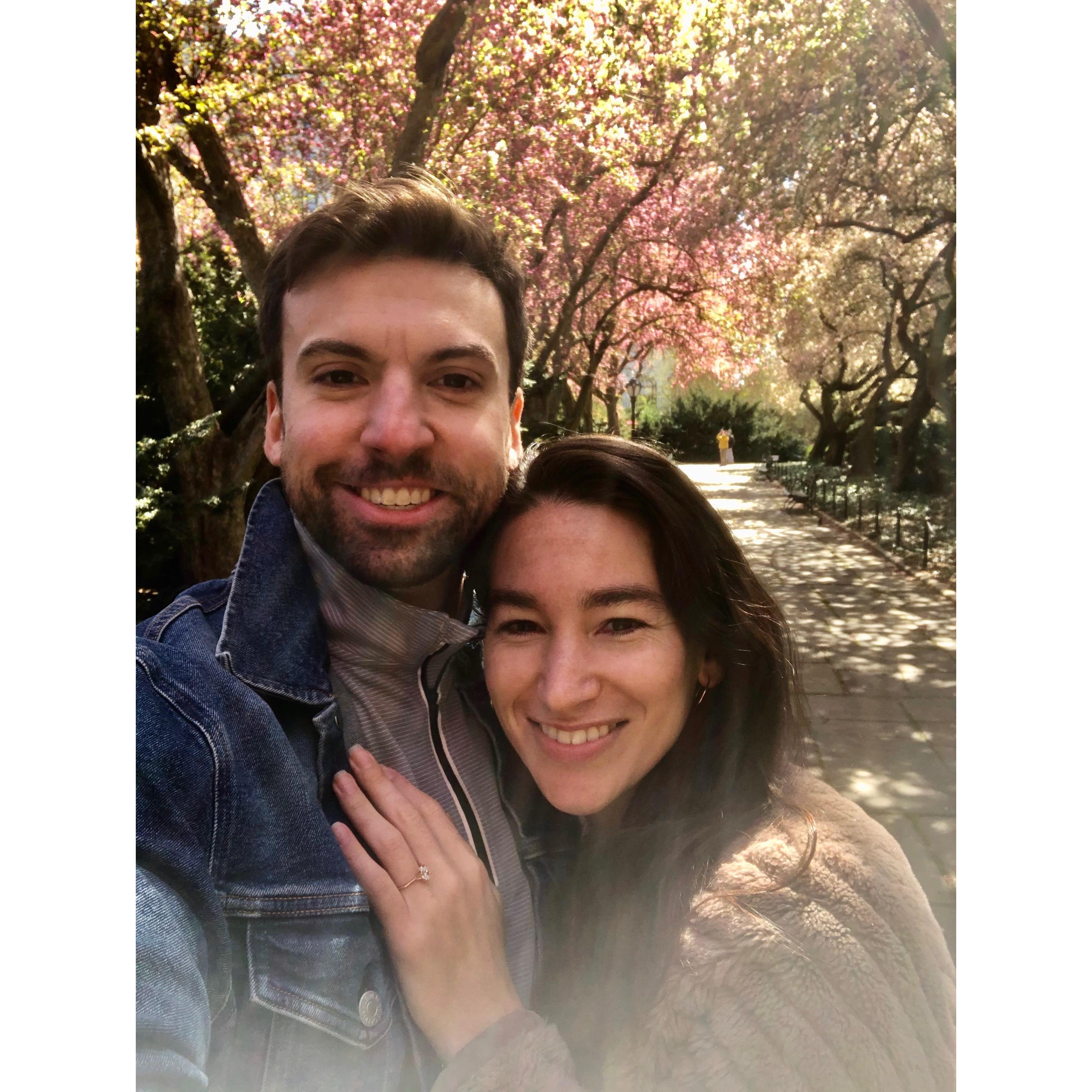 Our Proposal- Central Park, NY April 11, 2020