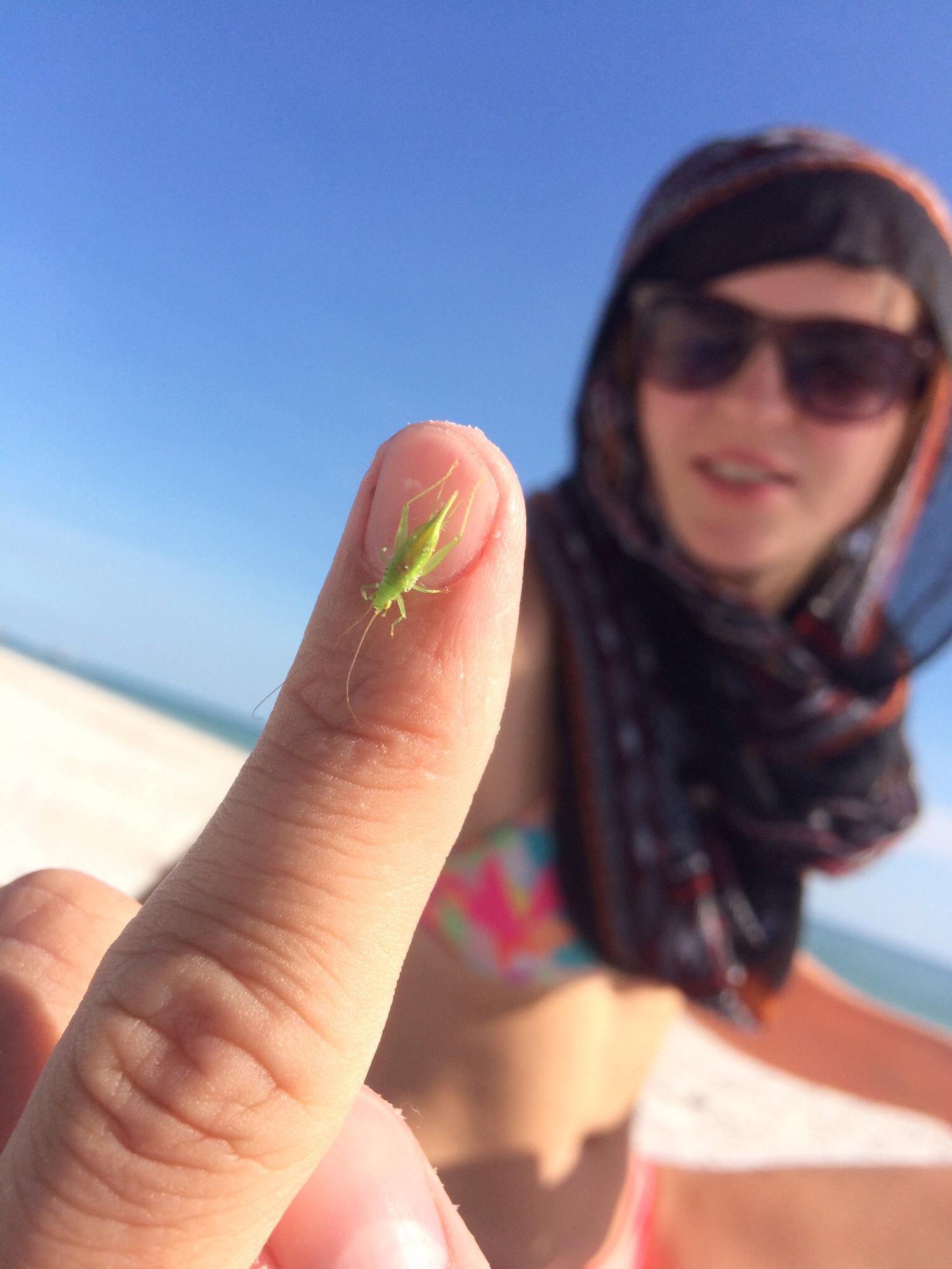 Making new friends on the Beach