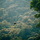 Monteverde Cloud Forest