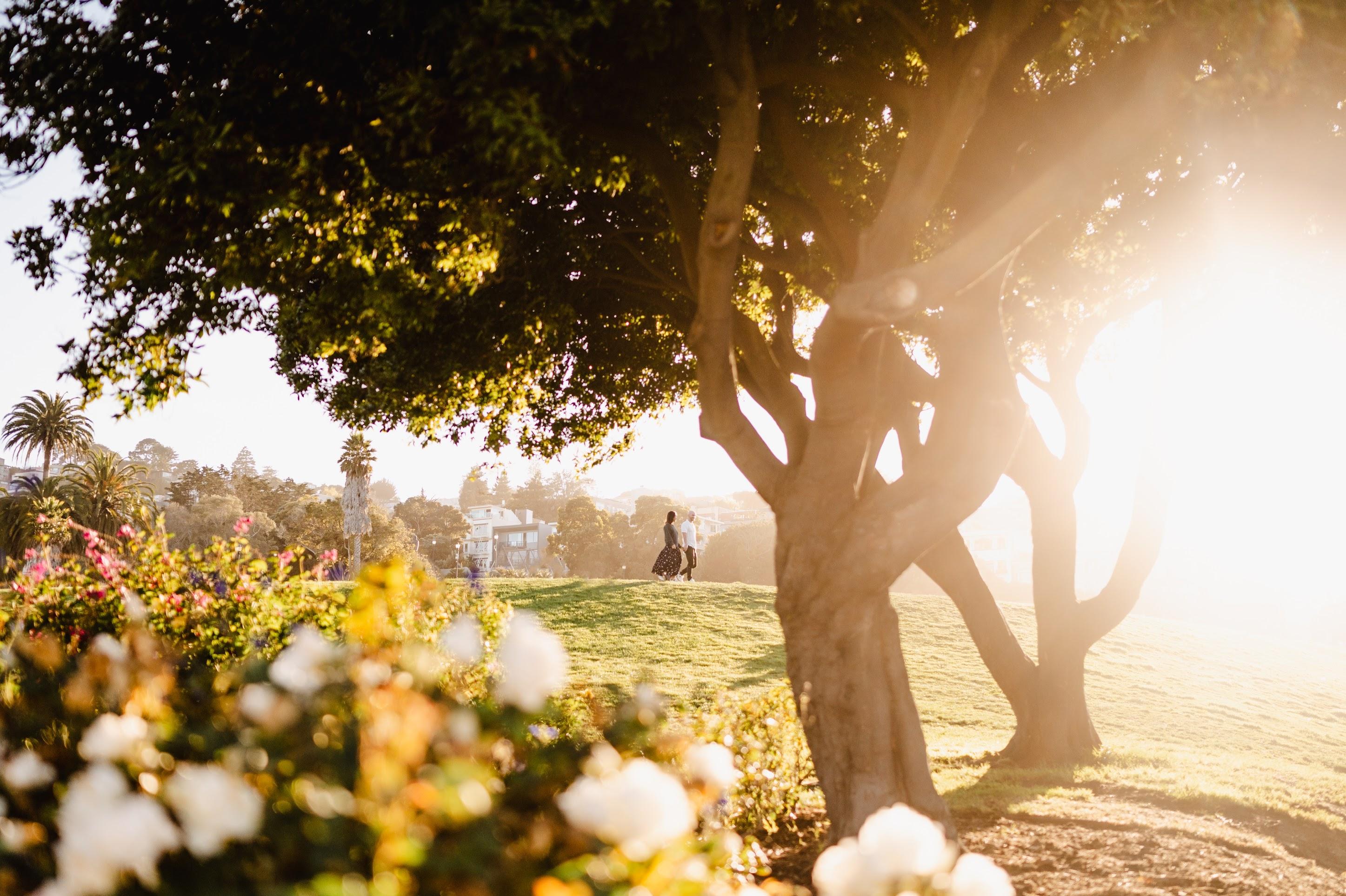 The Wedding Website of Jay Hack and Annie Zhang