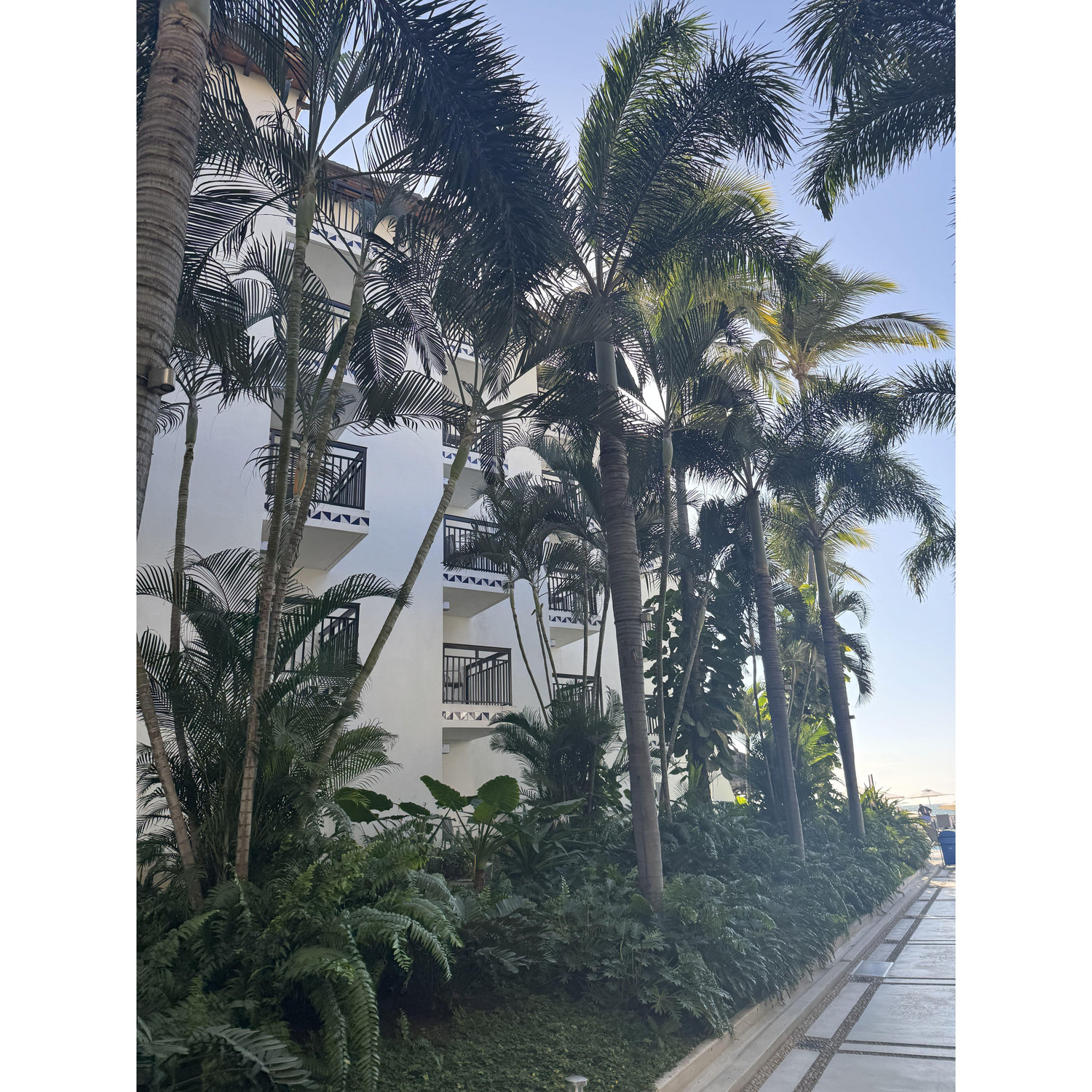 Puerto Vallarta, Jalisco, Mexico