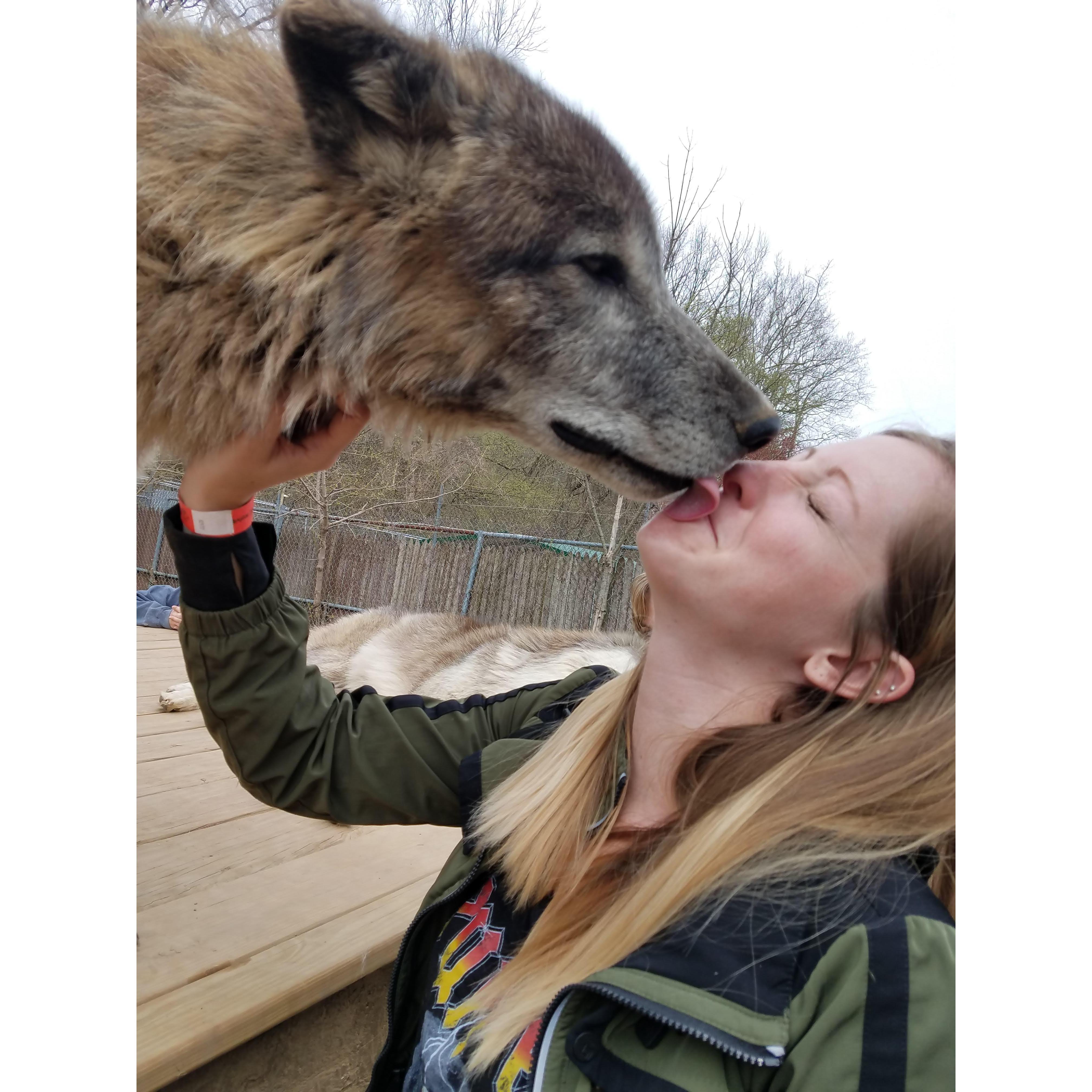 Kissed by a wolf for William's birthday.