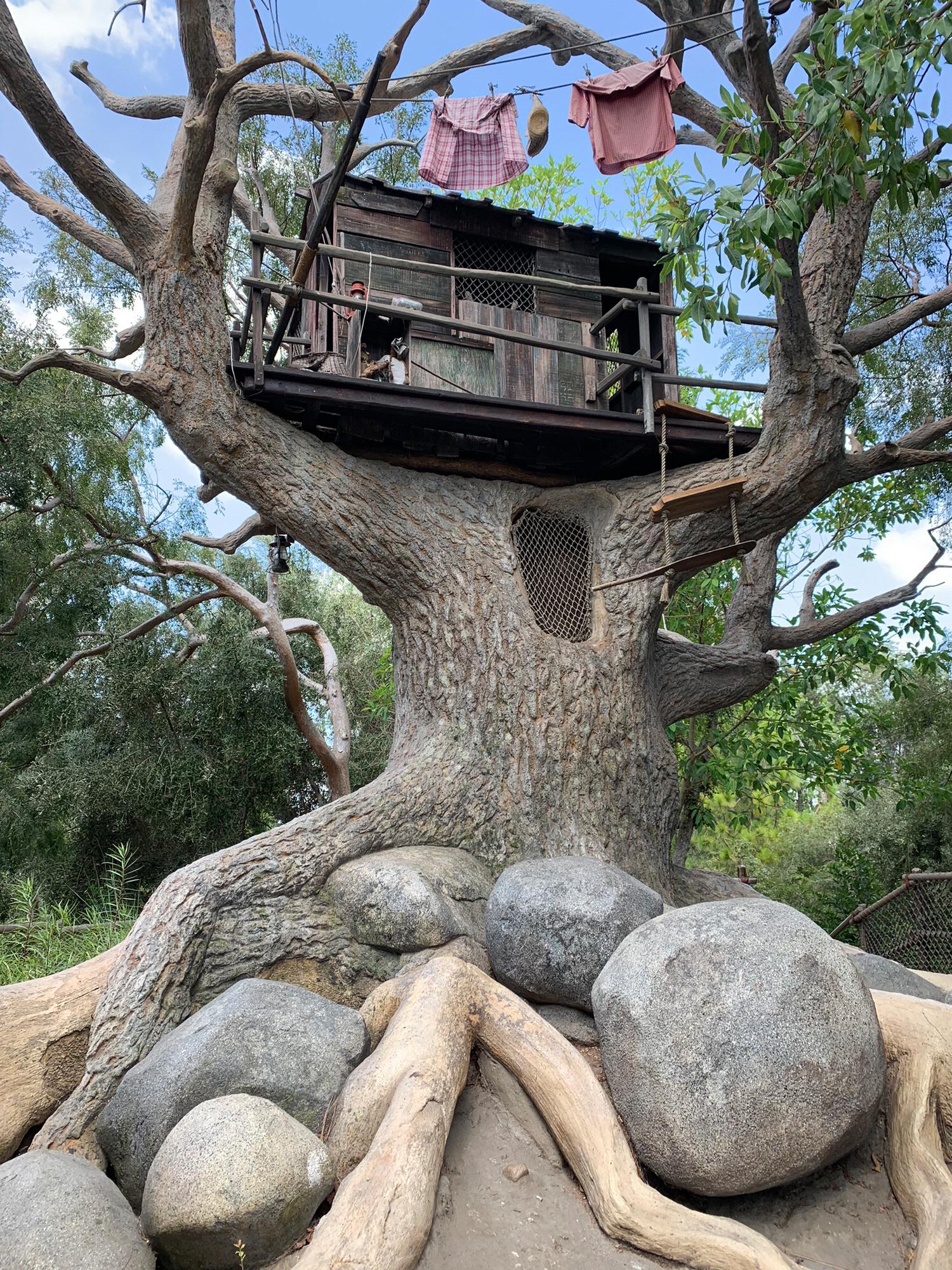 The treehouse on Tom Sawyer’s Island in Disneyland where Sheldon proposed to Megan ❤️