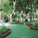 Mini Golf