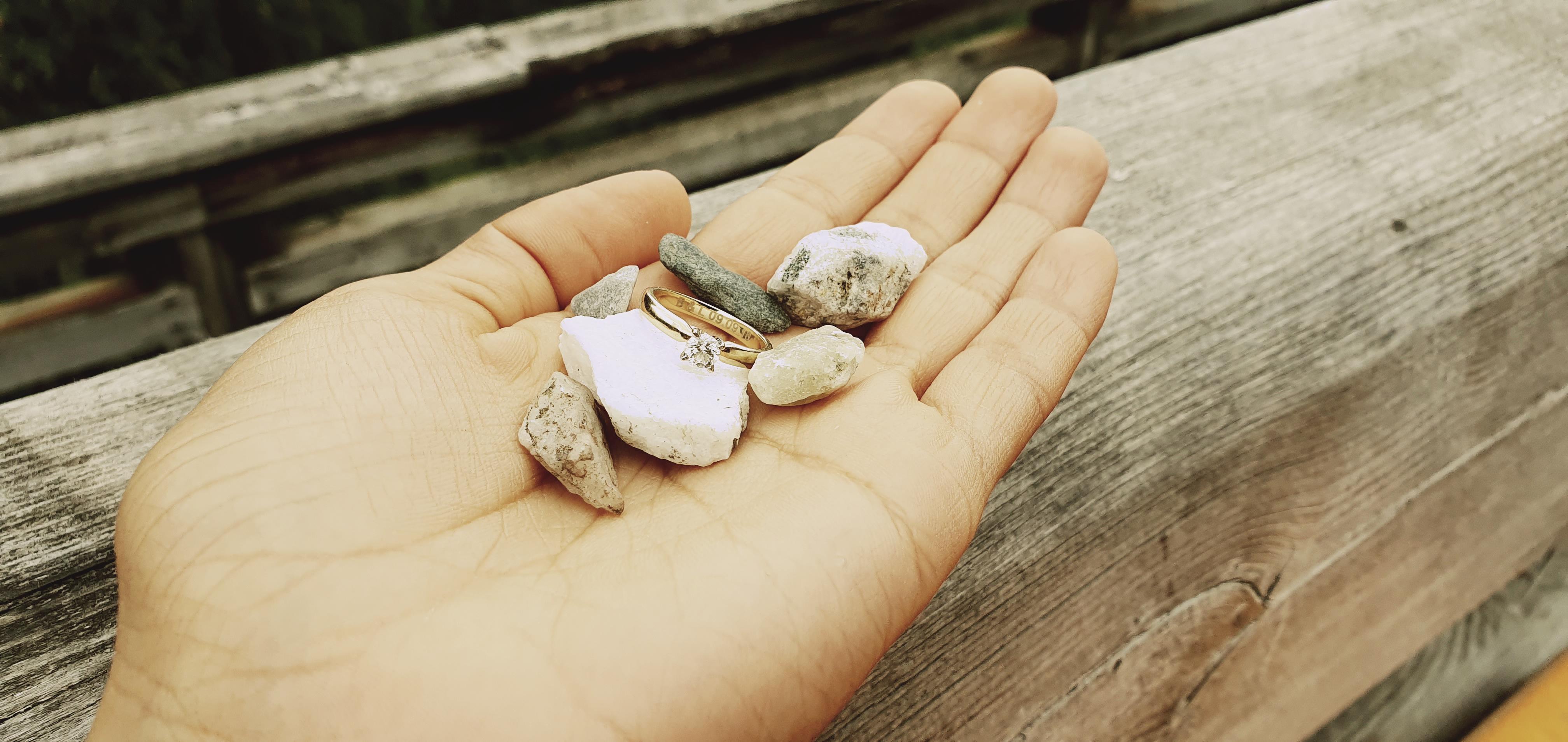 The Wedding Website of Brenda Olvera Milian and Lukas Vollmer