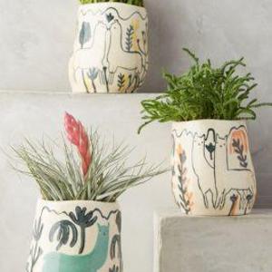 Wild Alpaca Pot