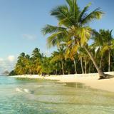 Morrocoy