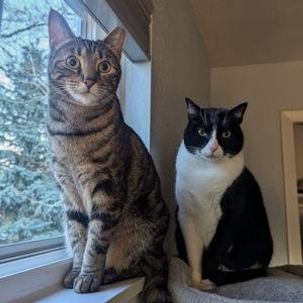 The Winston and Wendy Kibble Fund
