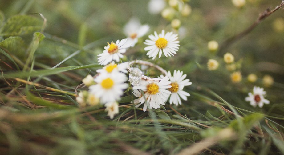 Footer image