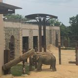 Smithsonian National Zoological Park