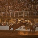 St. Paul Rodeo